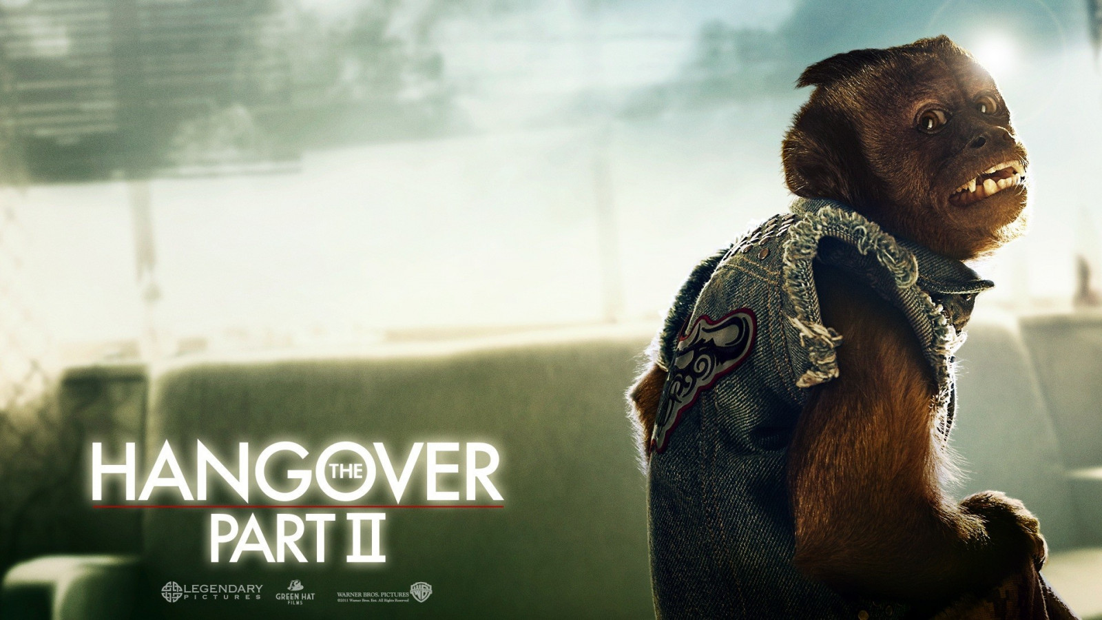 filmer, Hangover Part II, Mann, fotografi, film