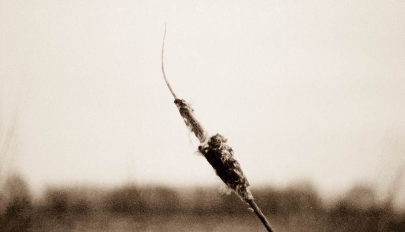 černobílý, Černý a bílý, nebe, monochromatické fotografování, Atmosféra Země, fotografování