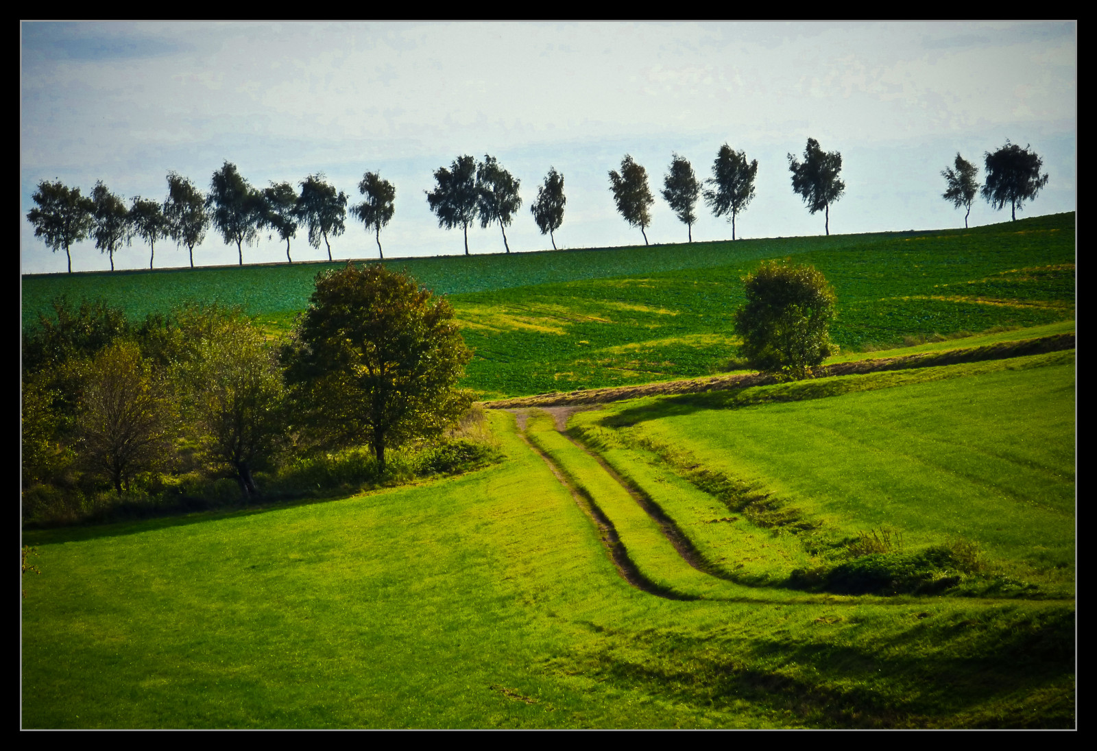 slunečnímu záření, krajina, kopec, Příroda, tráva, nebe, pole, zelená, ráno, kouzlo, hospodařit, mrak, strom, list, lučina, rostlina, pastvina, zemědělství, louka, plantáž, prostý, tvořivý, inspiringcreativeminds, bestcapturesaoi, trávník, Oberberg, prérie, oříznutí, powerofart, venkov, dřevina, tráva rodina, neloupané pole, NPP, Kellerwald2013, Aart