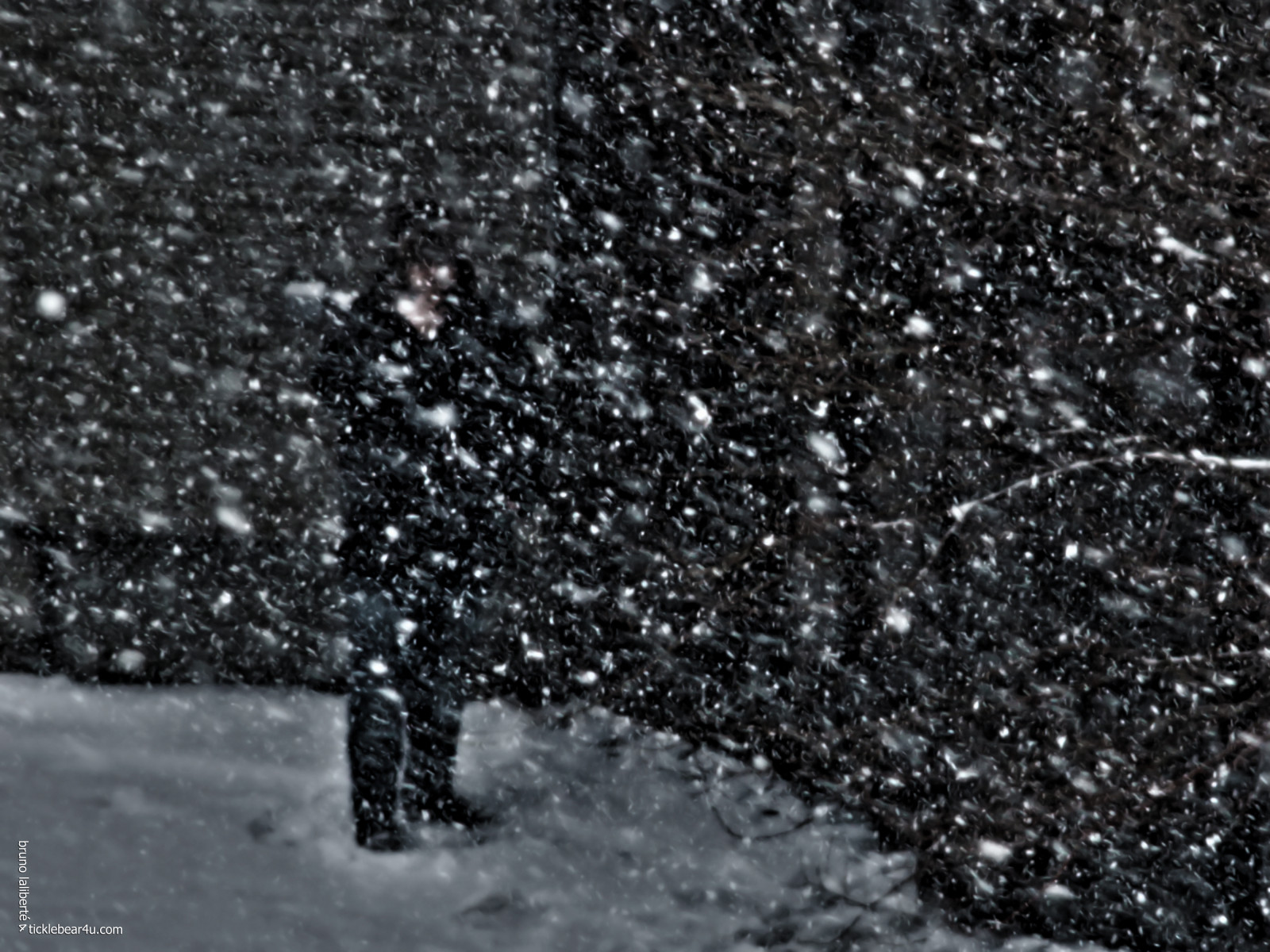 oameni, negru, Photoshop, monocrom, oraș, apă, cer, zăpadă, iarnă, fotografie, fumat, HDR, atmosfera, Montreal, Congelare, fujifilm, 2014, străzi, primăvară, întuneric, străini, brunolalibert, alb-negru, Fotografie alb-negru, fenomen, stock photography