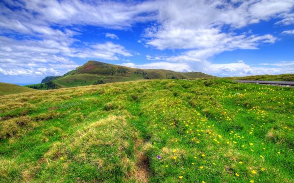 landscape, hill, nature, grass, sky, field