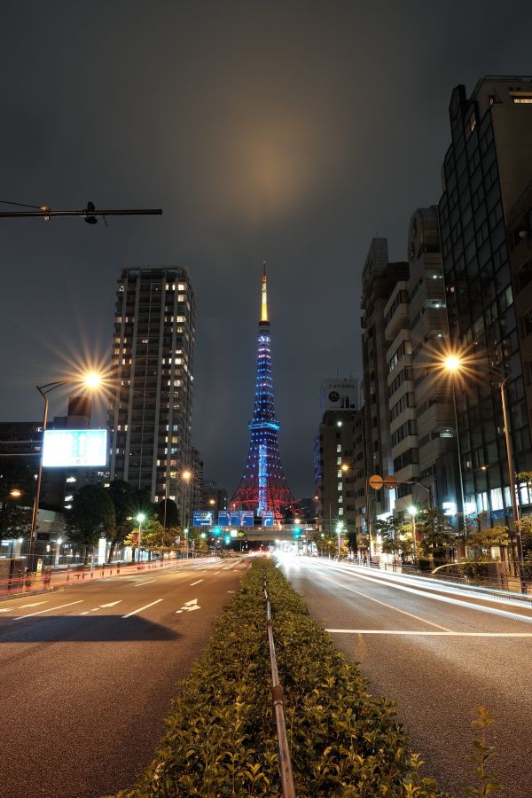 street light,city,street,cityscape,night,architecture