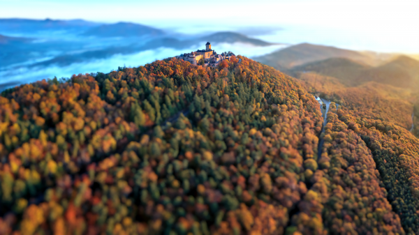nature,forest,fall,castle,landscape