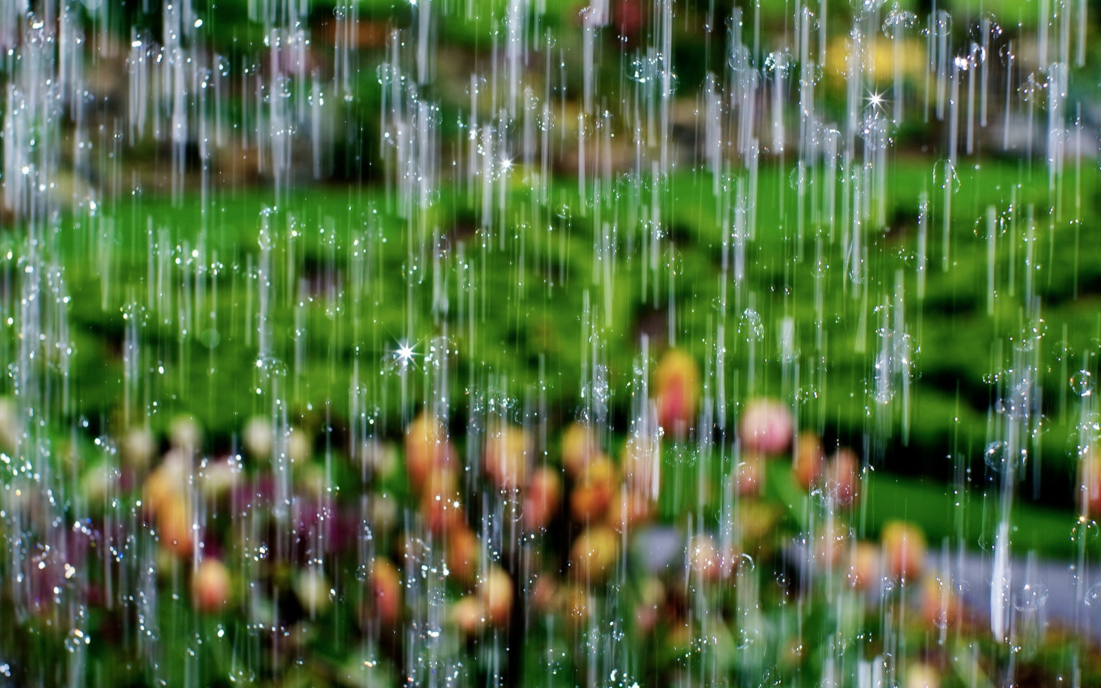 drops, rain, waterfall, macro