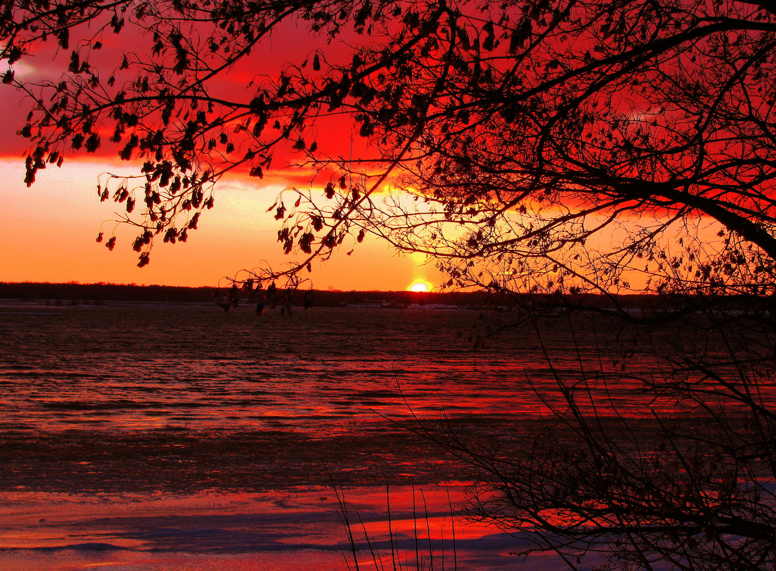 západ slunce, Červené, oblíbený, slunce, slunečnímu záření, jezero, sníh, Ontario, Kanada, barva, barva, Příroda, voda, Krásná, krása, silueta, žlutý, Kánon, odrazy, řeka, fotografování, večer, úžasný, pěkný, scenérie, barvitý, flickr, dosti, prosinec, barvy, Pohled, nachový, Spojené státy, přírodní, jasný, Michigan, relaxační, uklidňující, západy slunce, klidný, kanadský, silná rána, velká jezera, americký, Klid, barvitý, soo, 1001nights, severní, upperpeninsula, saultstemarie, northernontario, Algoma, serenitynow, Chippewakounty, Mezinárodní hranice, supershot, canonphotography, Sx110, photographyrocks, supershots, Saintmarysriver, colorphotoaward, Růžová, excapture, goldstaraward, Zlato, flickrestrellas, arealgem, gr8photo, flickrlovers, photographersgonewild, colorsinourworld, dragonflyawards, Thebillster23