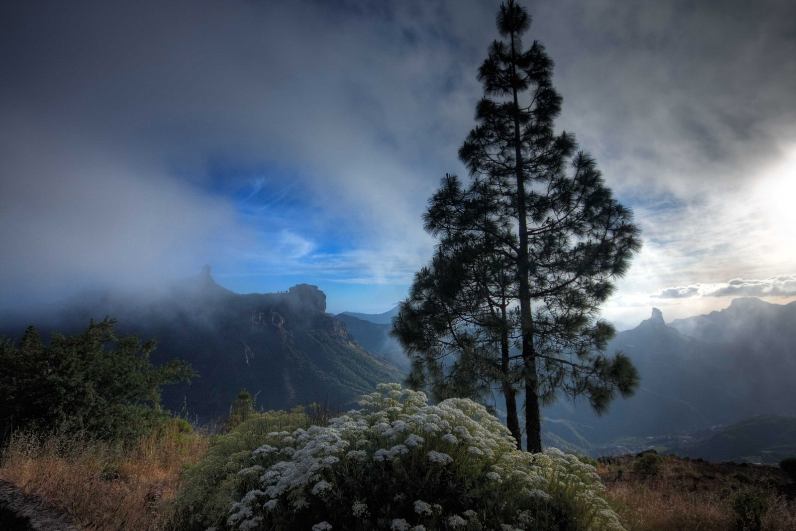 blu, cielo, espana, naturaleza, natura, GranCanaria, Azul, fauna, nuvole, paesaggi, Spagna, flora, natura, paisaje, cielo, nubes, isole Canarie, islascanarias, Fauna floreale, Tejeda, ecologia, sigma1020mm, Roquenublo, Bentayga, mardenubes, canon40d, Juanra09, Fotografiasdegrancanariacom, Elcoleccionistadeinstantes, Panoramicasdegrancanaria, Fotografiasdegrancanaria, Elcoleccionista, Instantesdegrancanaria