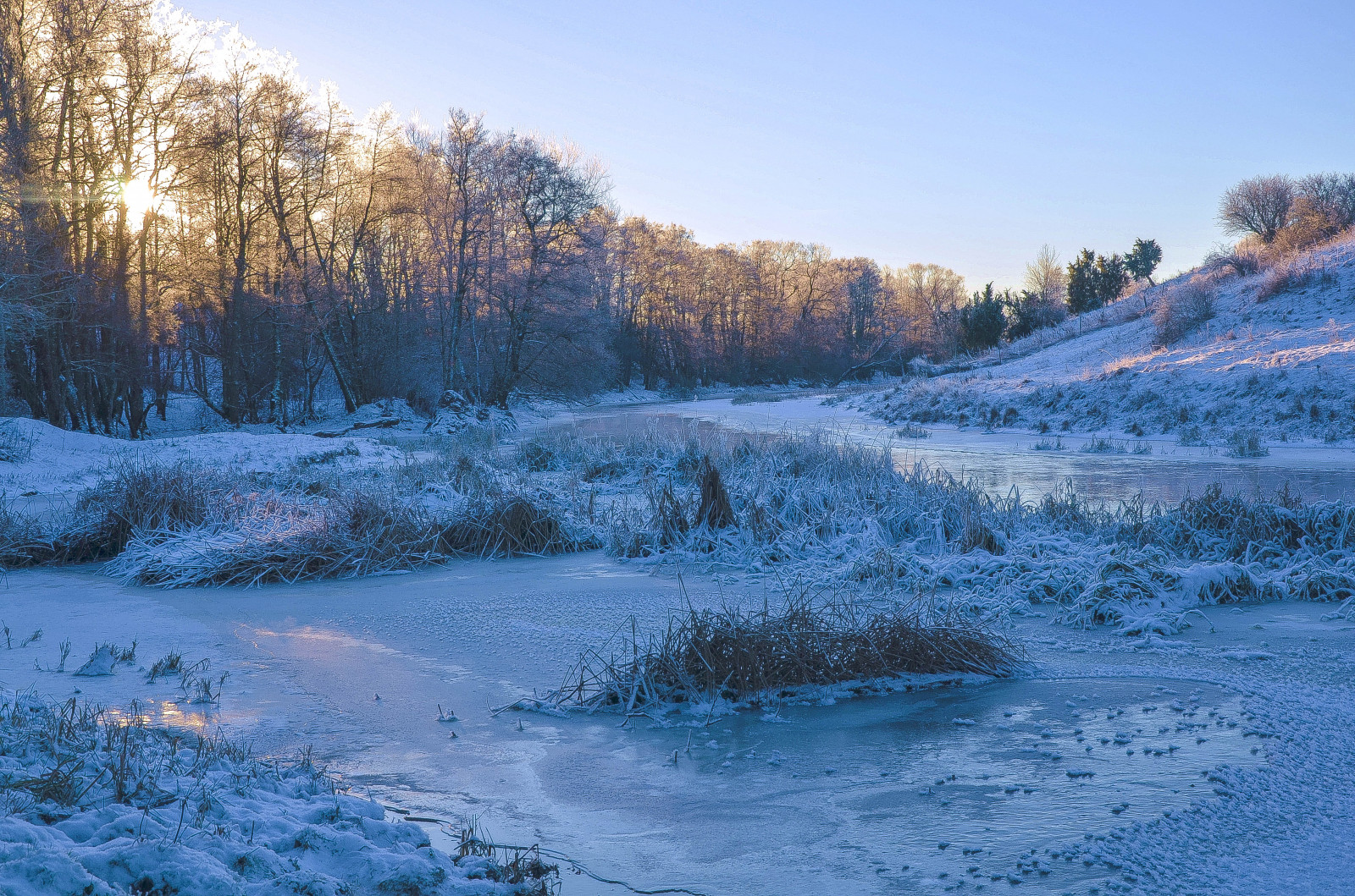 krajina, Příroda, odraz, sníh, zima, led, ráno, mráz, řeka, divočina, Švédsko, zmrazení, Sverige, strom, počasí, je, sezóna, Rio, naturaleza, paisaje, invierno, natur, landskap, suecia, Uppland, uppsala, ricardofeinstein, ulvakvarn, fyris, fyris n, escarcha