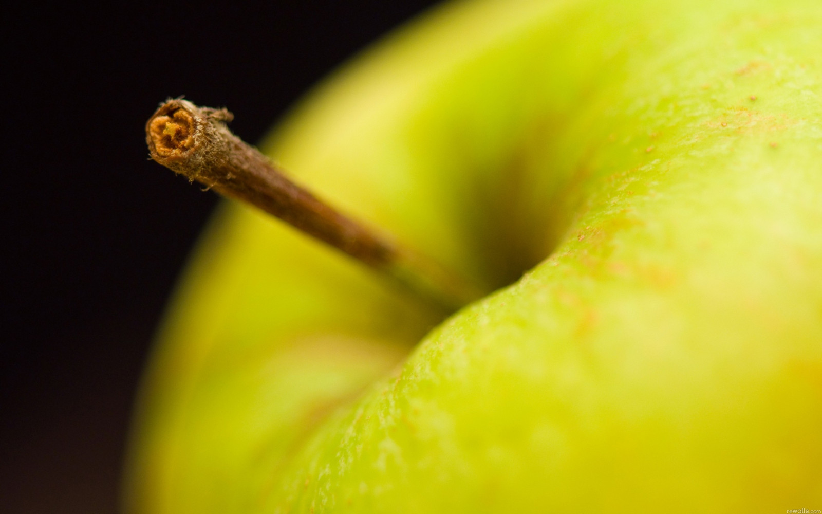 Papel de parede : maçã, fruta, verde 2560x1600 - goodfon - 735216