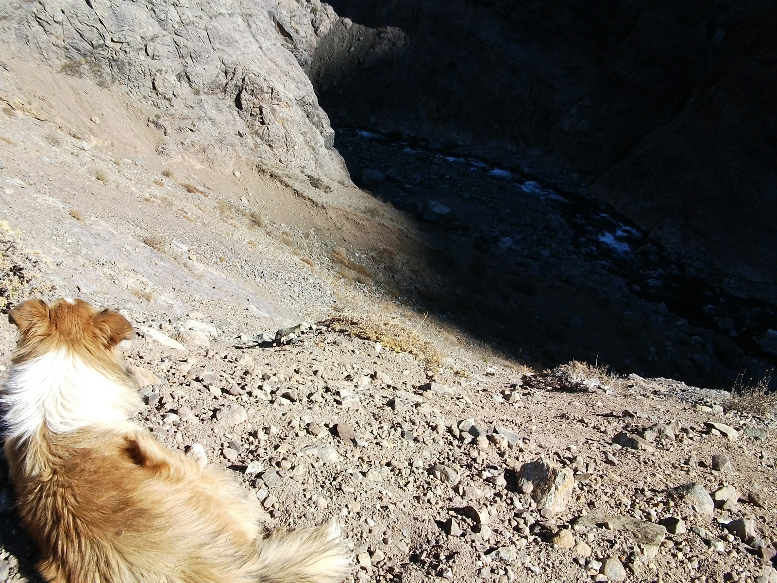 Wallpaper landscape, animals, rock, sky, river, wildlife, valley