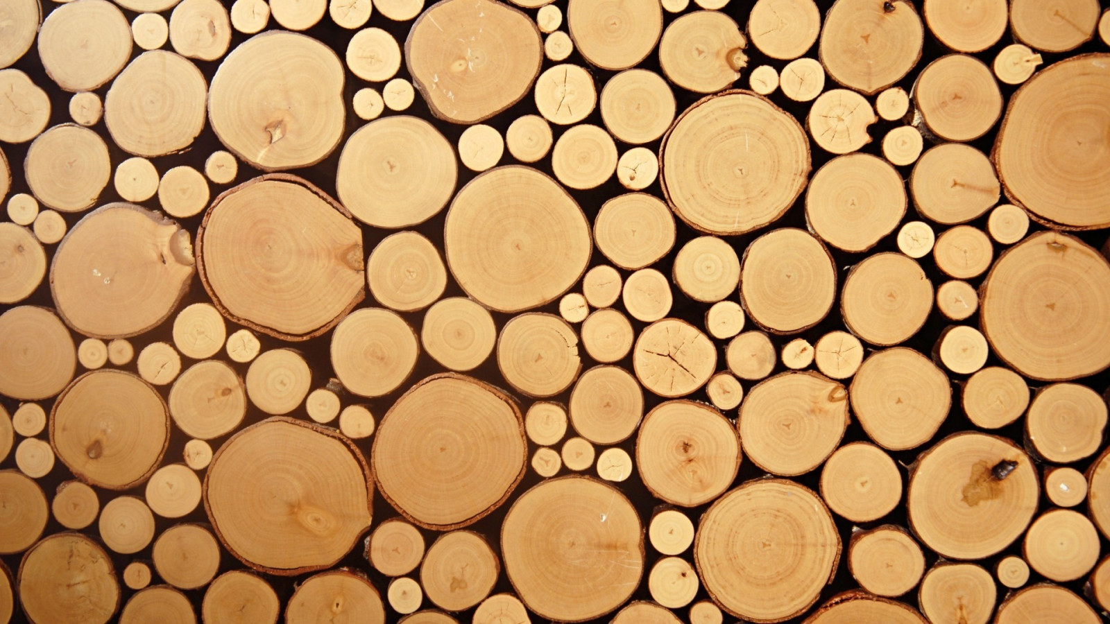 Příroda, minimalismus, stěna, fotografování, dřevo, větev, jednoduchý, hnědý, vzor, textura, kruh, osvětlení, tvar, design, patro, podlaha, dno, čára, 1920x1080 px, půda, font, podlaha