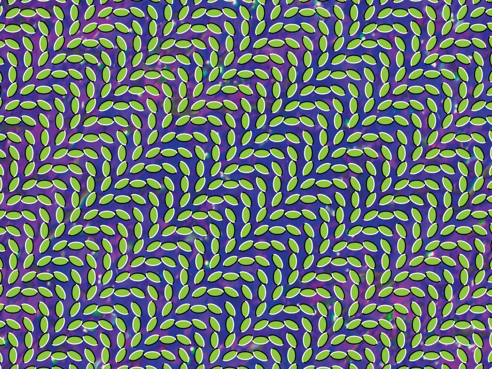 hudba, symetrie, vzor, korál, kruh, albové kryty, Animal Collective, tvar, design, čára, fraktální umění, psychedelické umění