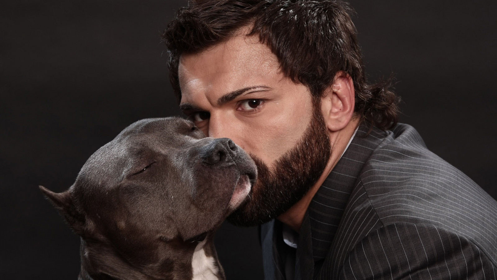 Wallpaper : andrei arlovski, fighter, UFC, dog 1920x1080 - 4kWallpaper
