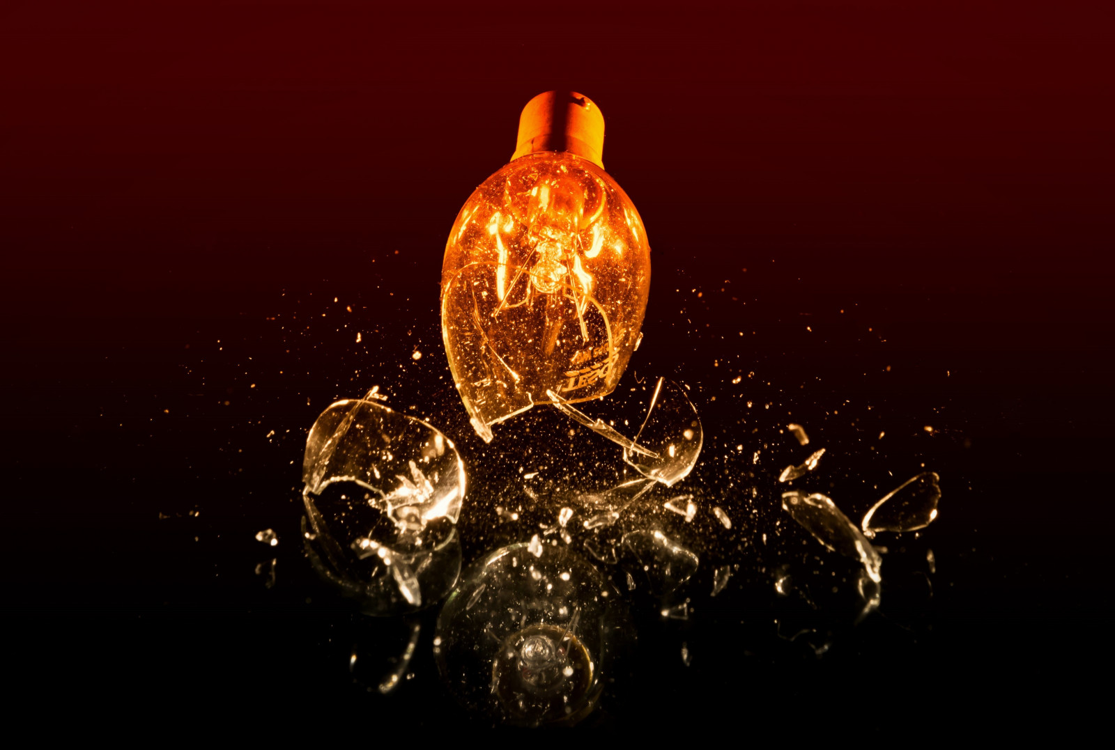 Wallpaper smashing, glass, light, lightbulb, bulb, breaking, fun, Nikon, d3300, nikkor