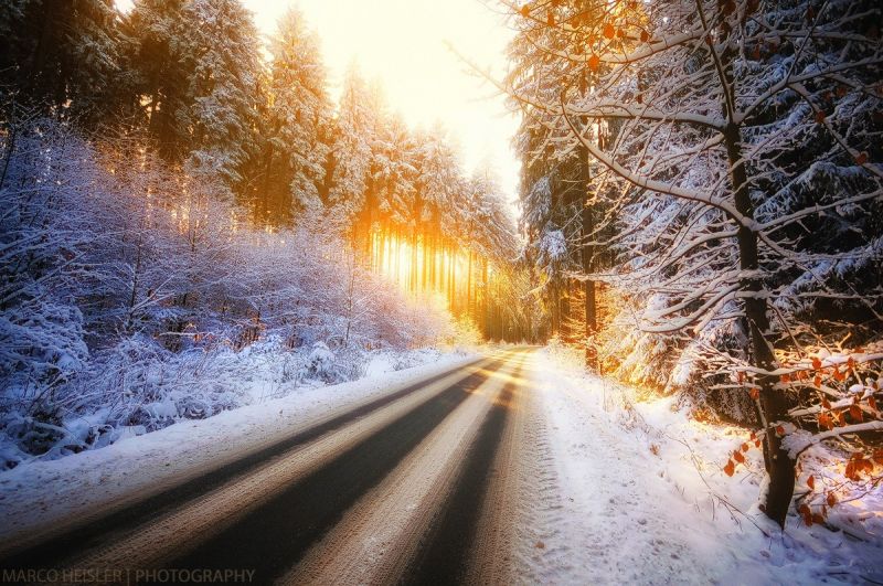 sollys, natur, sne, Skov, vinter, fotografering