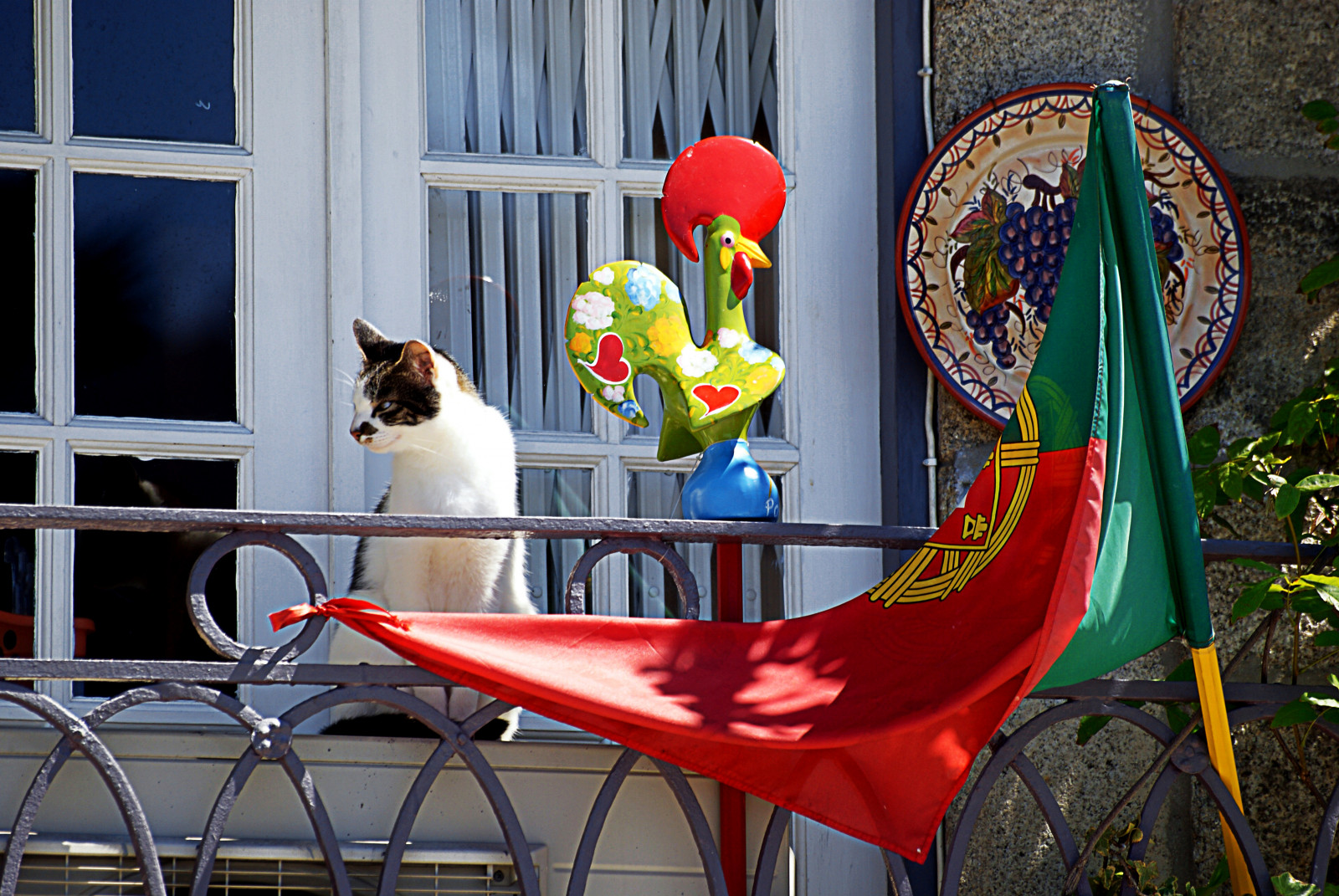 Červené, obratlovců, okno, Dům, židle