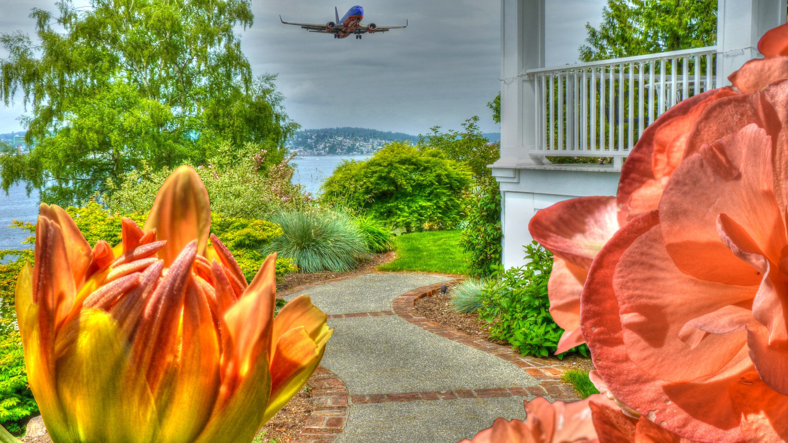 Wallpaper flowers, water, plane, view, path, jet, deck, bb 4000x2248