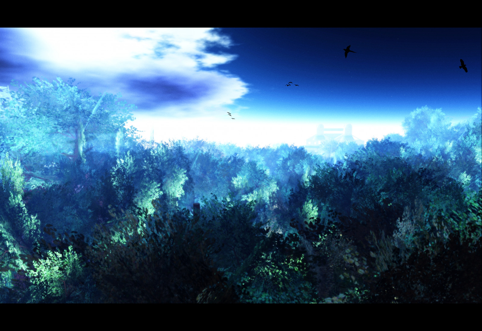 แสงแดด, แนวนอน, ป่า, นก, ธรรมชาติ, การสะท้อน, ท้องฟ้า, ไม้, ใต้น้ำ, ขอบฟ้า, บรรยากาศ, GIMP, เบา, เมฆ, ความมืด, SL, ชีวิตที่สอง, โลกเสมือนจริง, ภาพหน้าจอ, วอลล์เปเปอร์คอมพิวเตอร์, บรรยากาศของโลก, ระบบนิเวศ