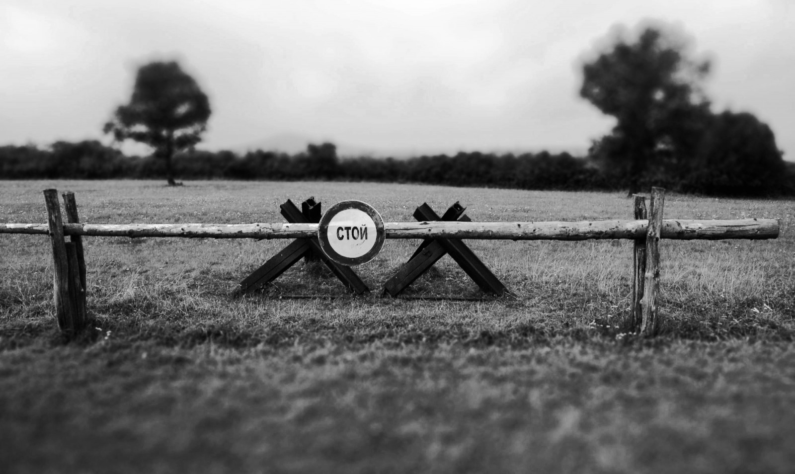 hvid, sort, natur, sort og hvid, himmel, monokrom fotografering, græs, fotografering, Sky, Mark, træ, atmosfære af jord, monokrom, landskab, landdistrikt, græsarealer, almindeligt, stock photography, plante, trådhegn, hegn