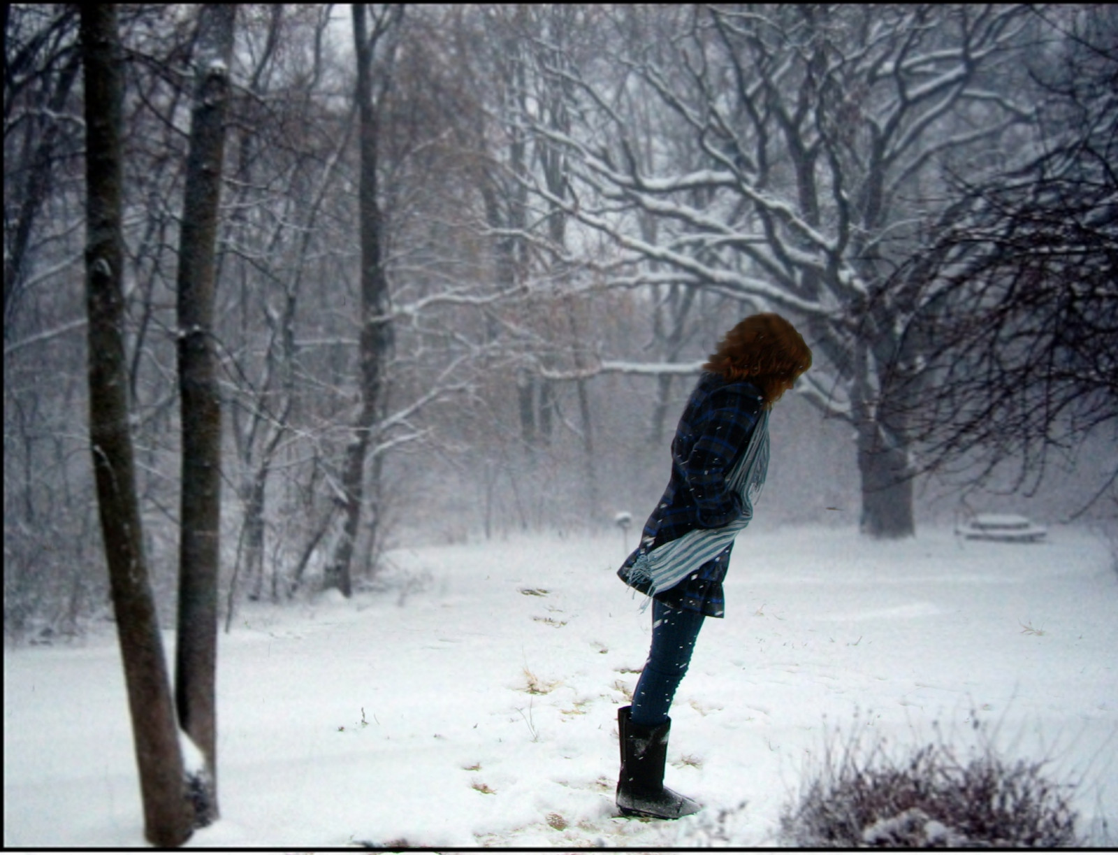 alberi, la neve, inverno, ghiaccio, freddo, vento, sciarpa, stivali, Congelamento, albero, ragazza, me, 365, Forrest, bufera di neve, cappotto, capelli rossi, 365 giorni, tempesta invernale, fenomeno, Ithinkthisisafavoriteofino