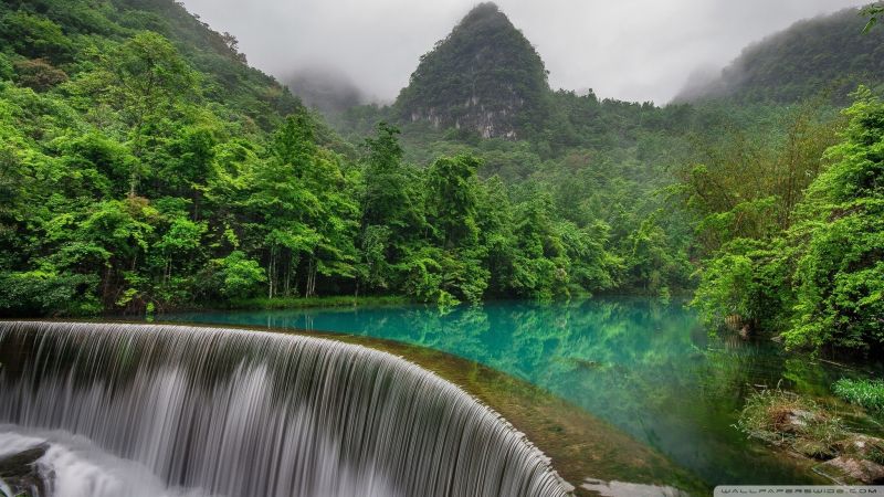 alberi, foresta, montagne, cascata, lago, acqua alberi, foresta, montagne, cascata, lago, acqua