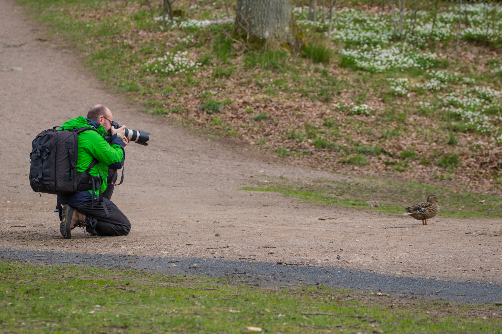sportovní, lidé, fotograf, m nniska, focení, sk ralid, s der sen