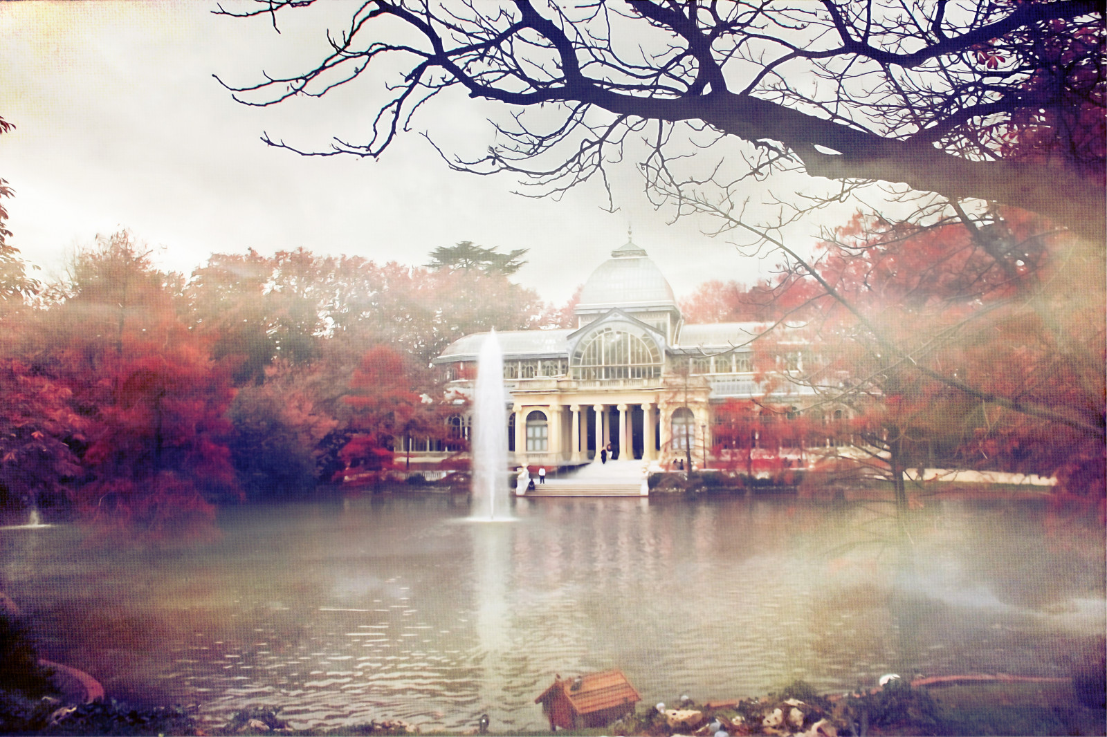 slunečnímu záření, krajina, město, voda, Příroda, odraz, nebe, zima, fotografování, větev, Dům, večer, ráno, Španělsko, textura, růžový, jaro, slunce, Valencia, 1, majetek, UMĚNÍ, strom, podzim, list, flickr, rostlina, mygearandme, fotografie, paisaje, aire, libre, agua, arbol, de, vodní tok, tapeta na zeď, mezník, foto, fotografia, tripleniceshot, doublyniceshot, nejjemnější, textura, magicunicornverybest, magicunicornmasterpiece, planta, espana, serenidad, feniche, Albal, flickrstruereflectionlevel, flickrs, snímků1, comunidad, Valenciana, puesta, surrealista, turistická atrakce, počítač tapeta, vodní prvek