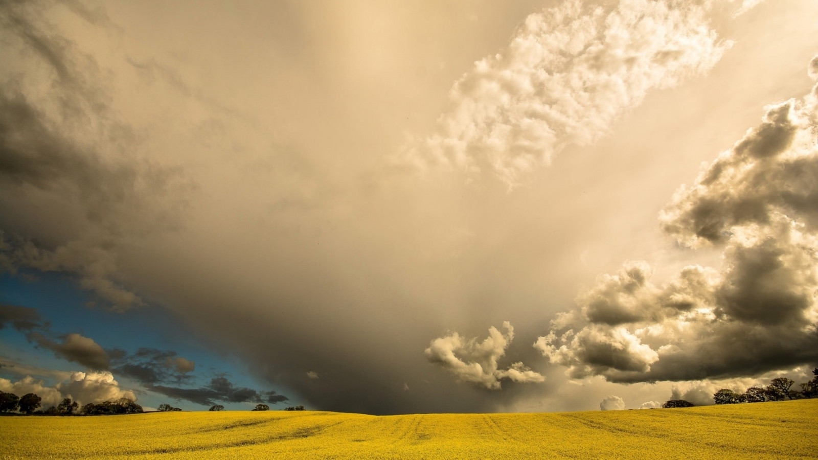 zonlicht, landschap, natuur, gras, hemel, veld-, wolken, ochtend-, Zon, horizon, atmosfeer, wolk, bloem, dageraad, vlakte, prairie, landelijk gebied, atmosferisch fenomeen, computer wallpaper, gras familie, meteorologisch verschijnsel