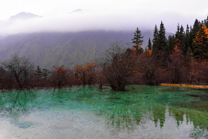 krajina, les, jezero, voda, Příroda, odraz krajina, les, jezero, voda, Příroda, odraz