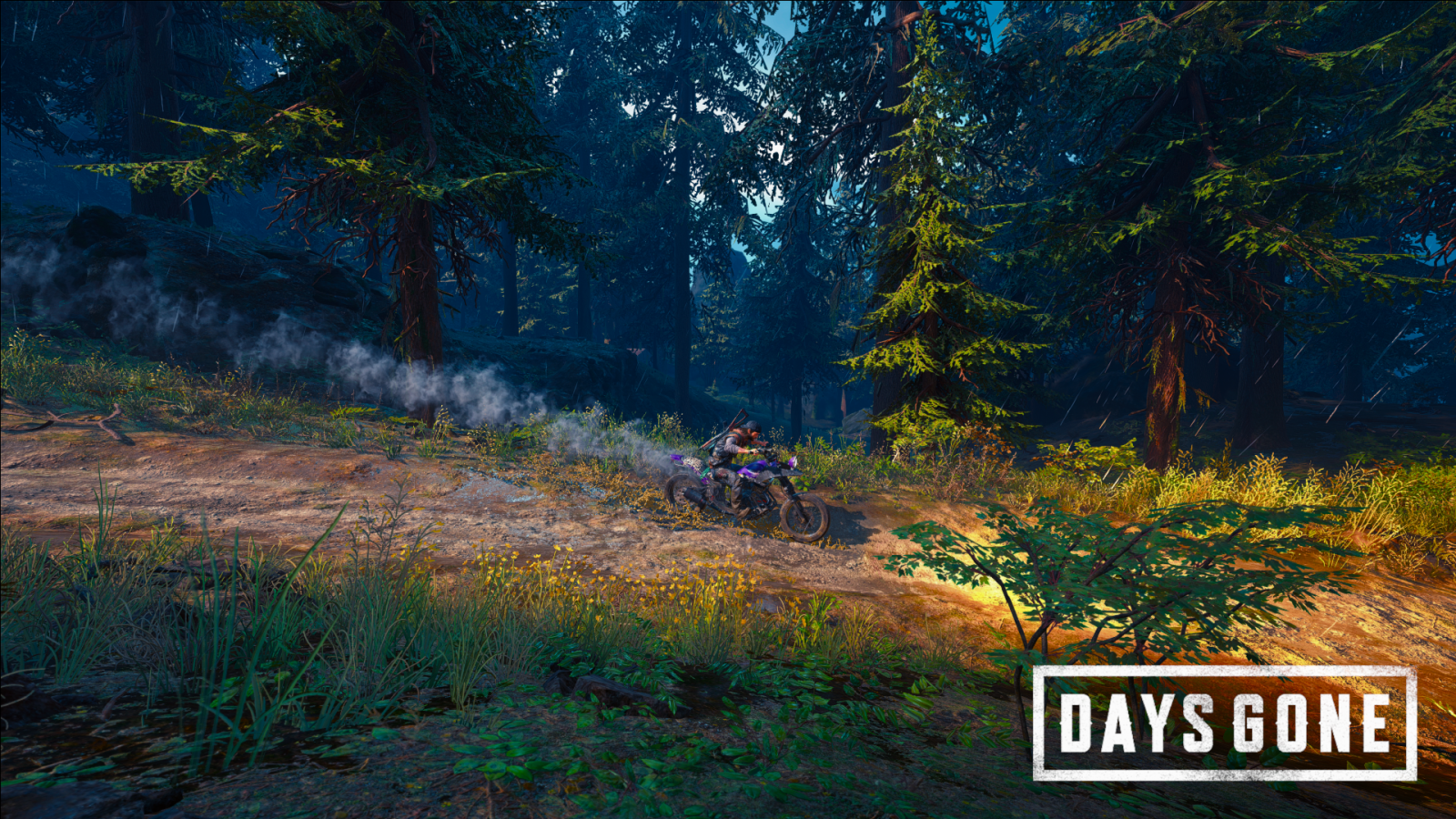 rostlina, People in nature, Natural landscape, strom, větev, slunečnímu záření, modřín, dřevo, biome, tráva, terrestrial plant, kolo, krajina, opadavý, les, louka, zálesí, kufr, stezka, silnice, smíšený les, lučina, Volně žijících živočichů, půda, džungle, spruce fir forest, jehličnatý strom, prales, divoká rostlina, Northern hardwood forest, rekreace, tropical and subtropical coniferous forests, háj, cesta, podzim, mírné jehličnatý les, Prašná silnice, prérie, křoviny, valdivian temperate rain forest, keř, deštný prales, plantáž, pole, dobrodružství, cévnatých rostlin, borovice rodina, borovice, jedle, cyklus sportu, mlha