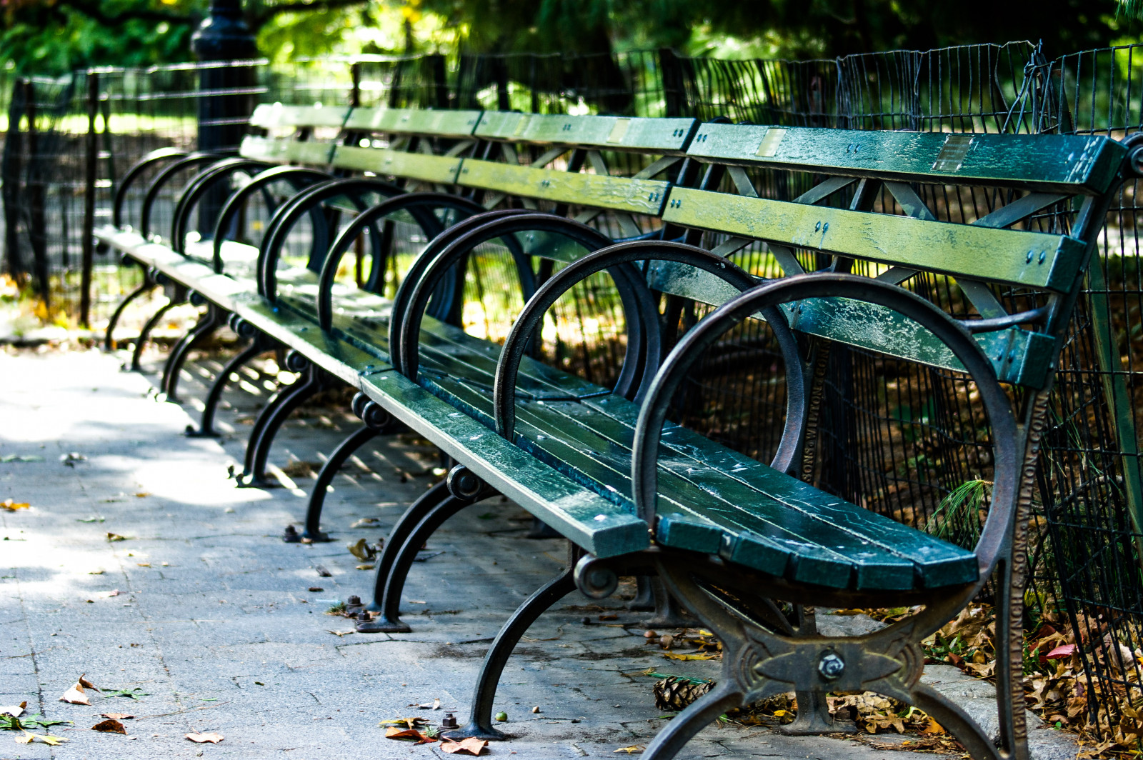 park, Nový, York, město, stromy, Spojené státy americké, zelená, Amerika, lavice, Sedadlo, centrální