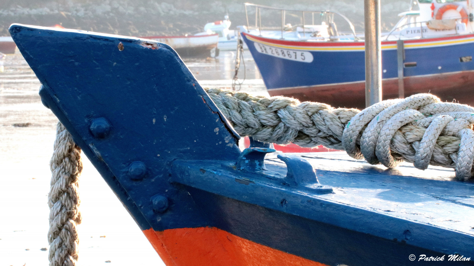 loď, loď, voda, vozidlo, luk, vrtule, zvonek, kompas, rybolov, plachtění, Hublot, saariysqualitypictures, oceán, přístav, přístav, prsten, plavidlo, lano, nábřeží, quai, bóje, bateau, plachetnice, Plouguin, Ploudalmezeau, Portsall, Kersaint, Landunvez, Landeda, Lannilis, treglonou, saintpabu, Pabu, abers, Brittany, bretagne, BZH, saintrenan, Renan, Lanildut, aberwrach, Lampaul, Plouarzel, Breles, prasknutí, Iroise, rybářské plavidlo, remorkér, trup, optimistický, háček, oarlock, Finistere, lanoví, kladka, Safran, helice, bou e, kruhové okno, peche, kormidlo, aussi re, accastillage, flotteur, zápas, taquet, závora, poulie, Ra, palan, zvonovitý klobouk, silné lano, gouvernail, MOUSQUETON, manille, spoutat, Anneau, water transportation, boats and boating equipment and supplies