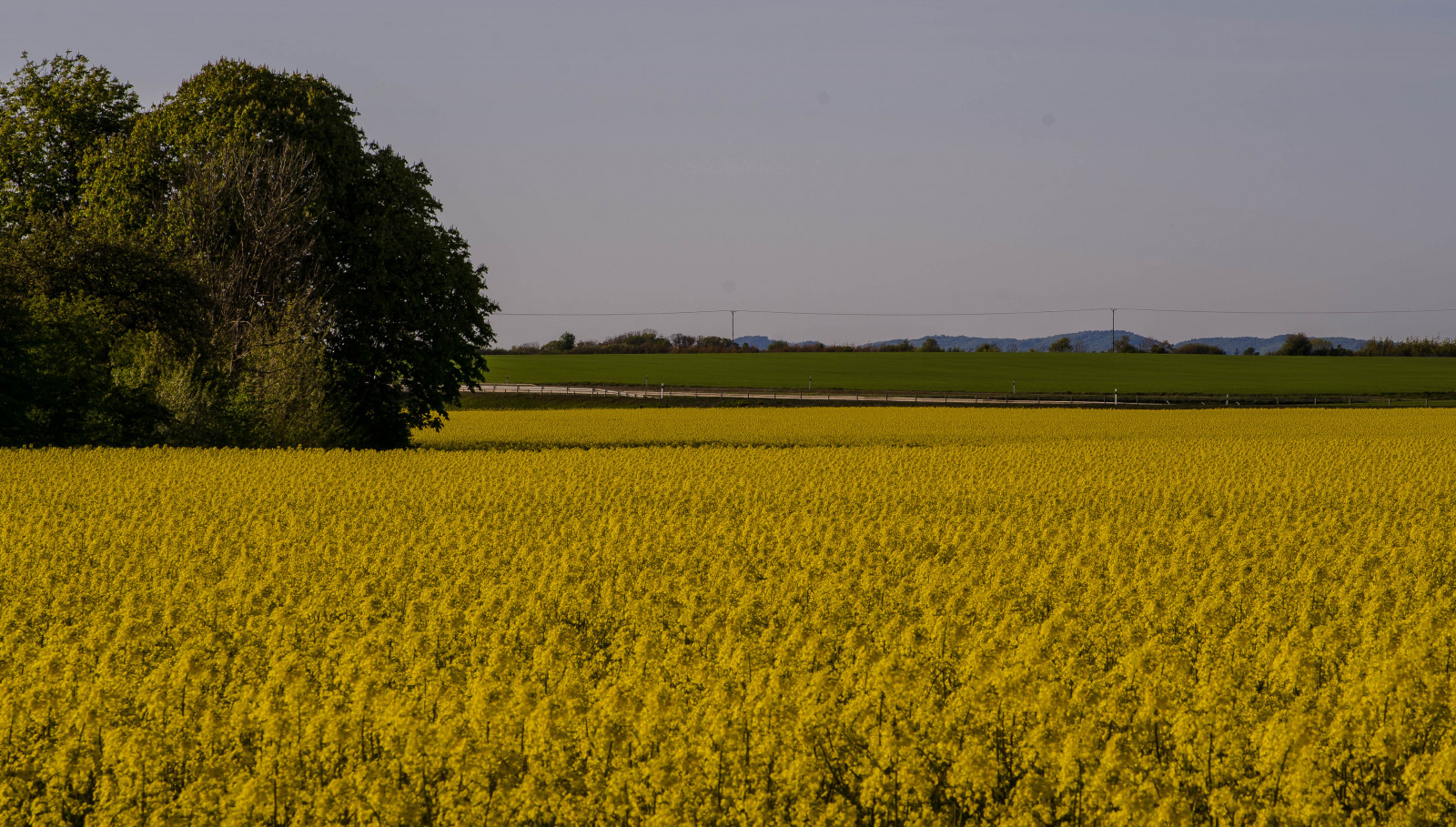 Wallpaper : spring, Sweden, kullagunnarstorp 4928x2801 - - 1060551 - HD ...