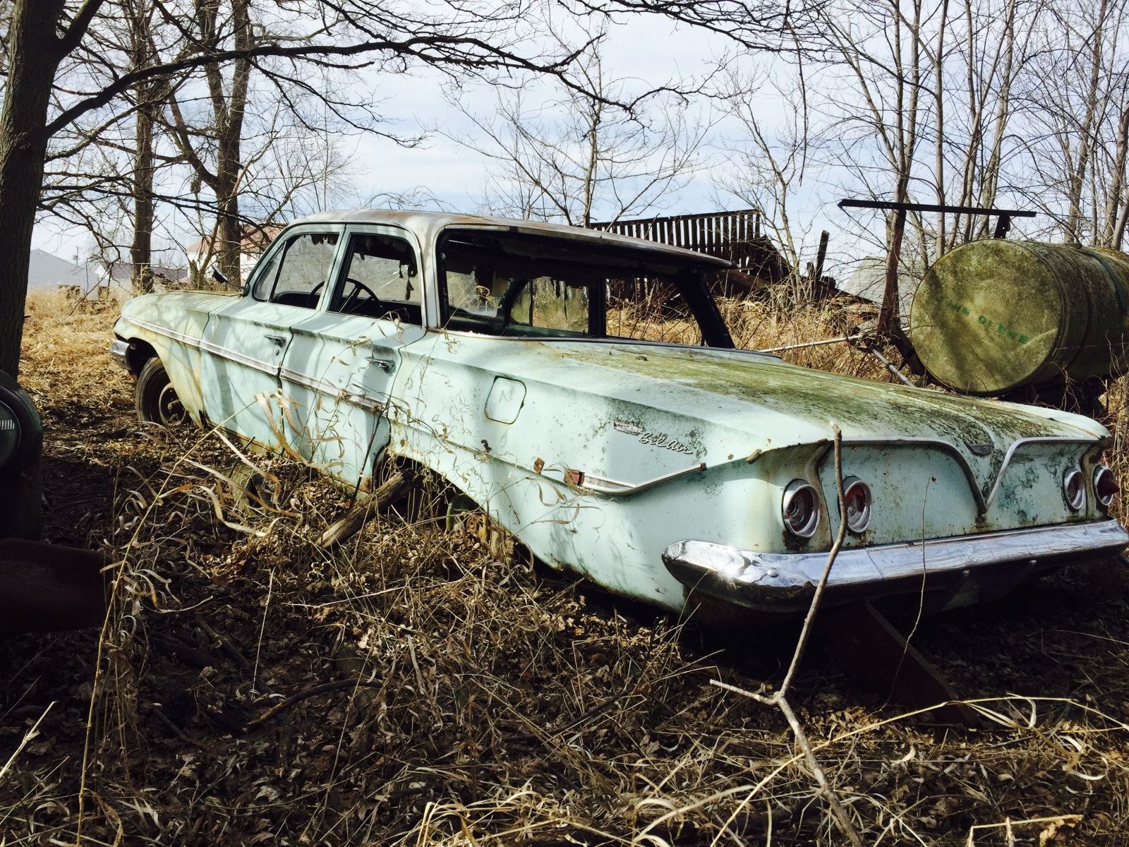 motorové vozidlo, auto, vozidlo, ekosystém, strom, rodinný vůz, rostlina, automobilový exteriér, šrot, tráva, plant community, limuzína