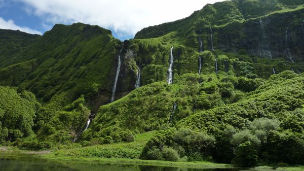 landscape, forest, hill, lake, river, mountains
