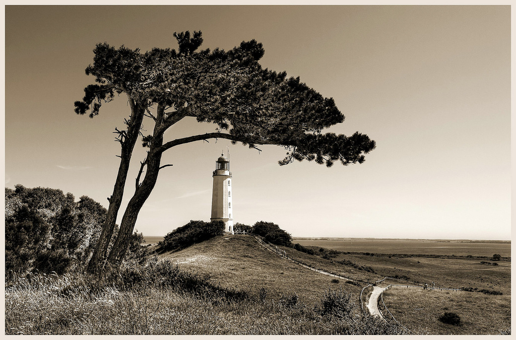 krajina, černobílý, nebe, pole, větev, maják, Kánon, UMĚNÍ, mrak, strom, prozkoumat, rostlina, zajímavý, Leuchtturm, flickrsfinestimages1, ostrůvek, Černý a bílý, monochromatické fotografování, dřevina, Hiddensee, Ostesee, Helmuthess, stock photography