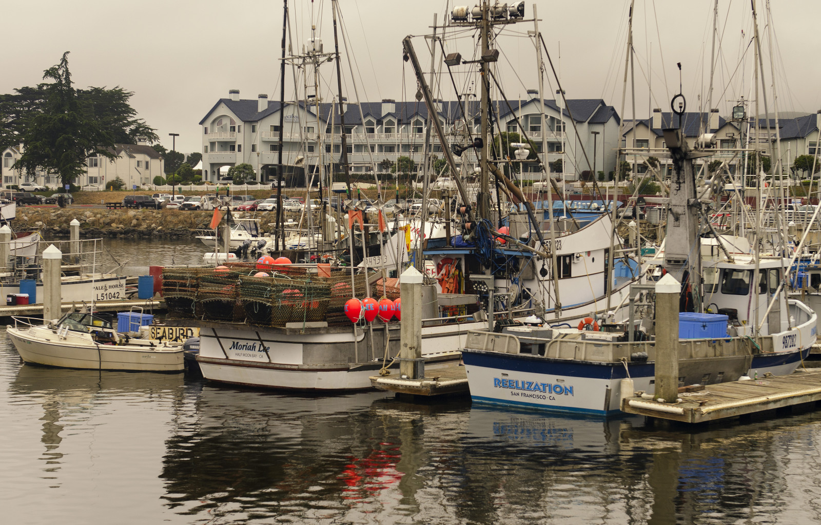 Wallpaper ocean, California, ca, food, Moon, west, water, point