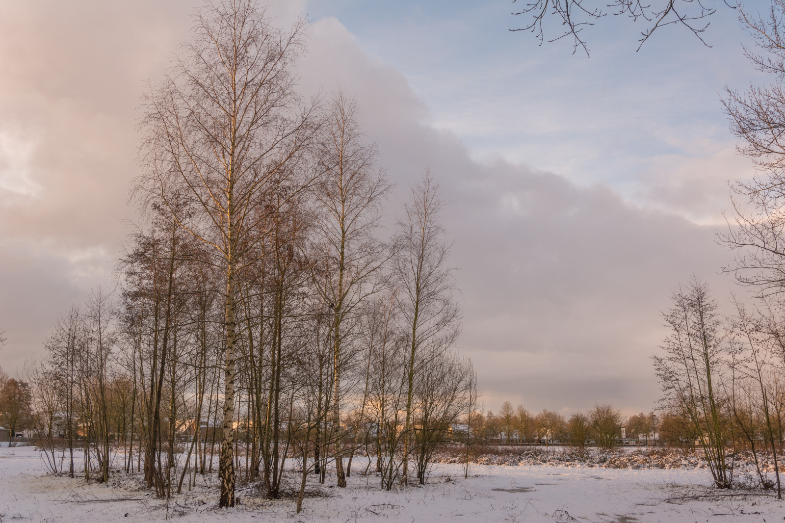 Beuningen, krajina, zima, Gelderland, park, heuvepark, stromy, Bomen, záře, sníh, sneeuw, nederland, Nizozemí, Příroda, nl, natuur, nederlandvandaag, reflectyourworld, světlo