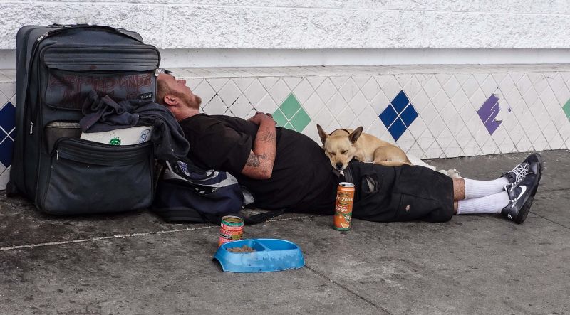 vozidlo,sedící,zábava,střevíc,rekreace,human behavior