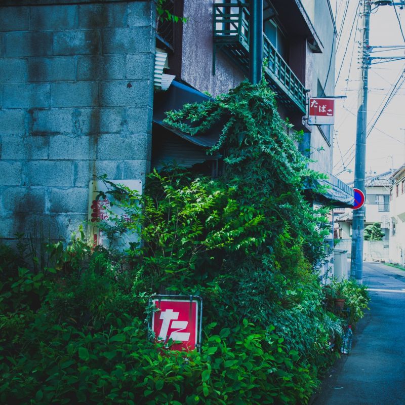 1280x1280 px, nature, city, Japan, street 1280x1280 px, nature, city, Japan, street