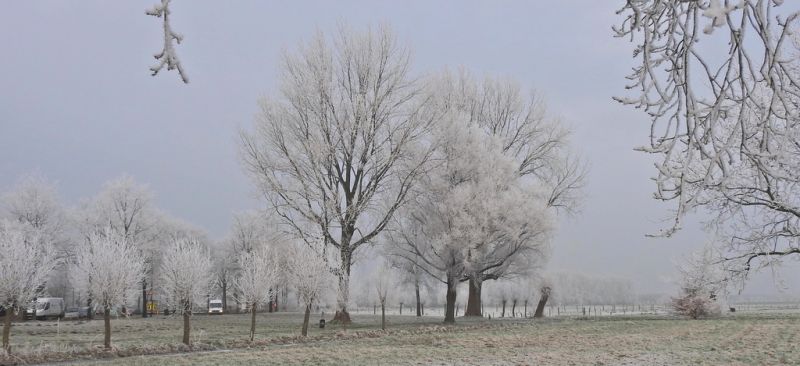 Landschaft, Winter, Bäume, Weiß, Natur, Schnee