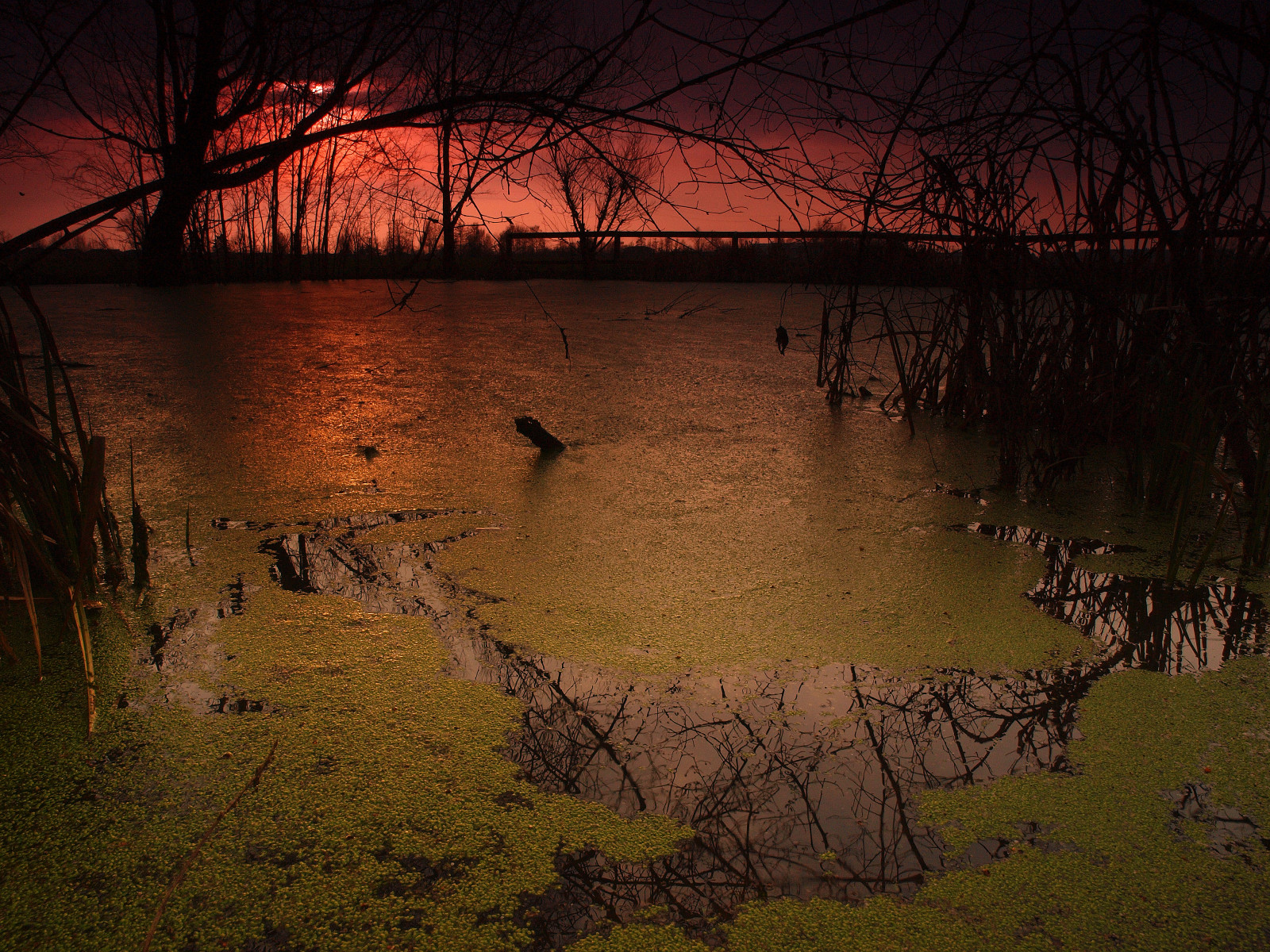 slunečnímu záření, krajina, západ slunce, Itálie, noc, jezero, voda, Příroda, odraz, tráva, nebe, větev, svítání, večer, ráno, řeka, rybník, soumrak, santa, banka, bažina, Anna, slunce, Olympus, mokřadní, Tramonto, scéna, strom, list, svítání, rostlina, Italia, italien, 620, del, tma, Soleil, italie, coucher, sonnenuntergang, parco, dělat, du, bayou, Itálie, Laghetto, Colline, bažina, puesta, tělo z vody, E620, Riccardo, Palazzani, veridiano3, Palude, lužní, libra, Stagno, por, Badia, Santellone, Achitrino, Alghe