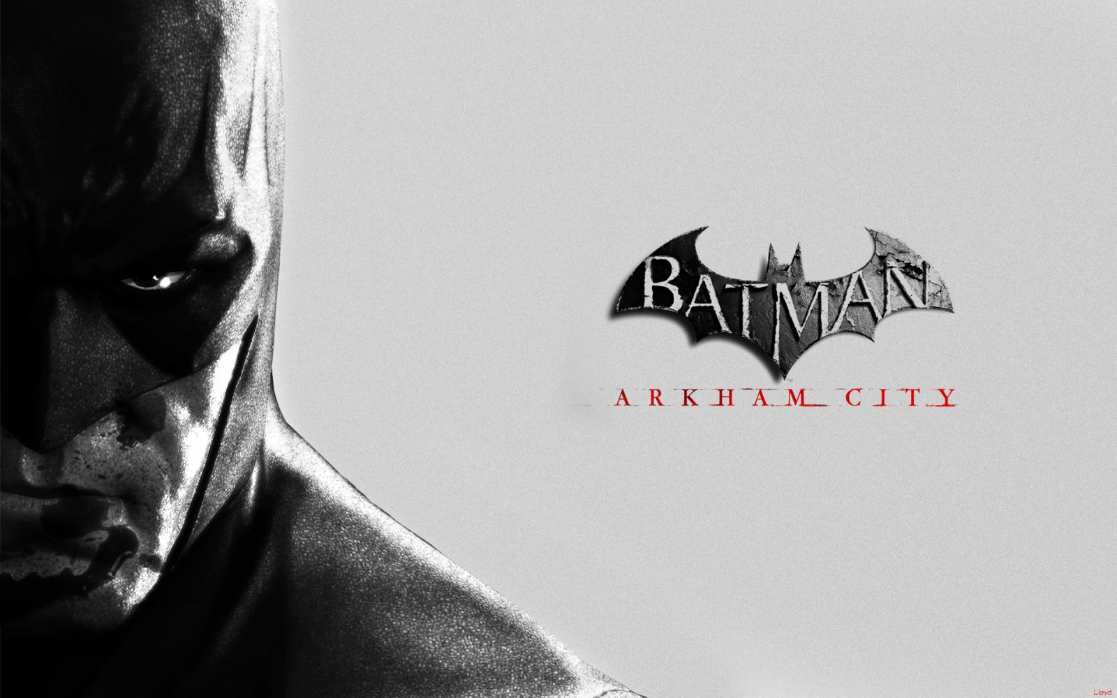 Batman Arkham City, character, face, look, mask, blood, bat, black and white