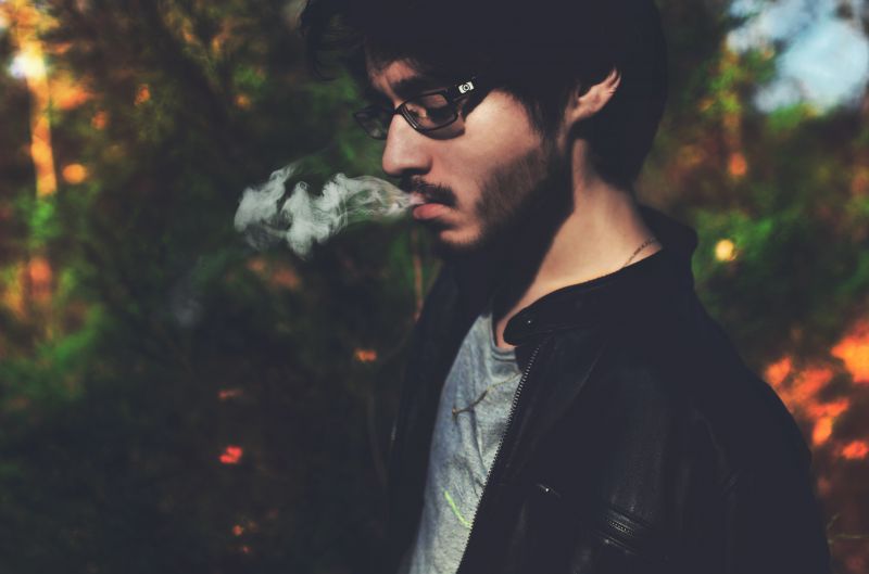 ต้นไม้, แว่นตา, การดูแลสายตา, แว่นตากันแดด, แว่นตา, ไม้ยืนต้น ต้นไม้, แว่นตา, การดูแลสายตา, แว่นตากันแดด, แว่นตา, ไม้ยืนต้น