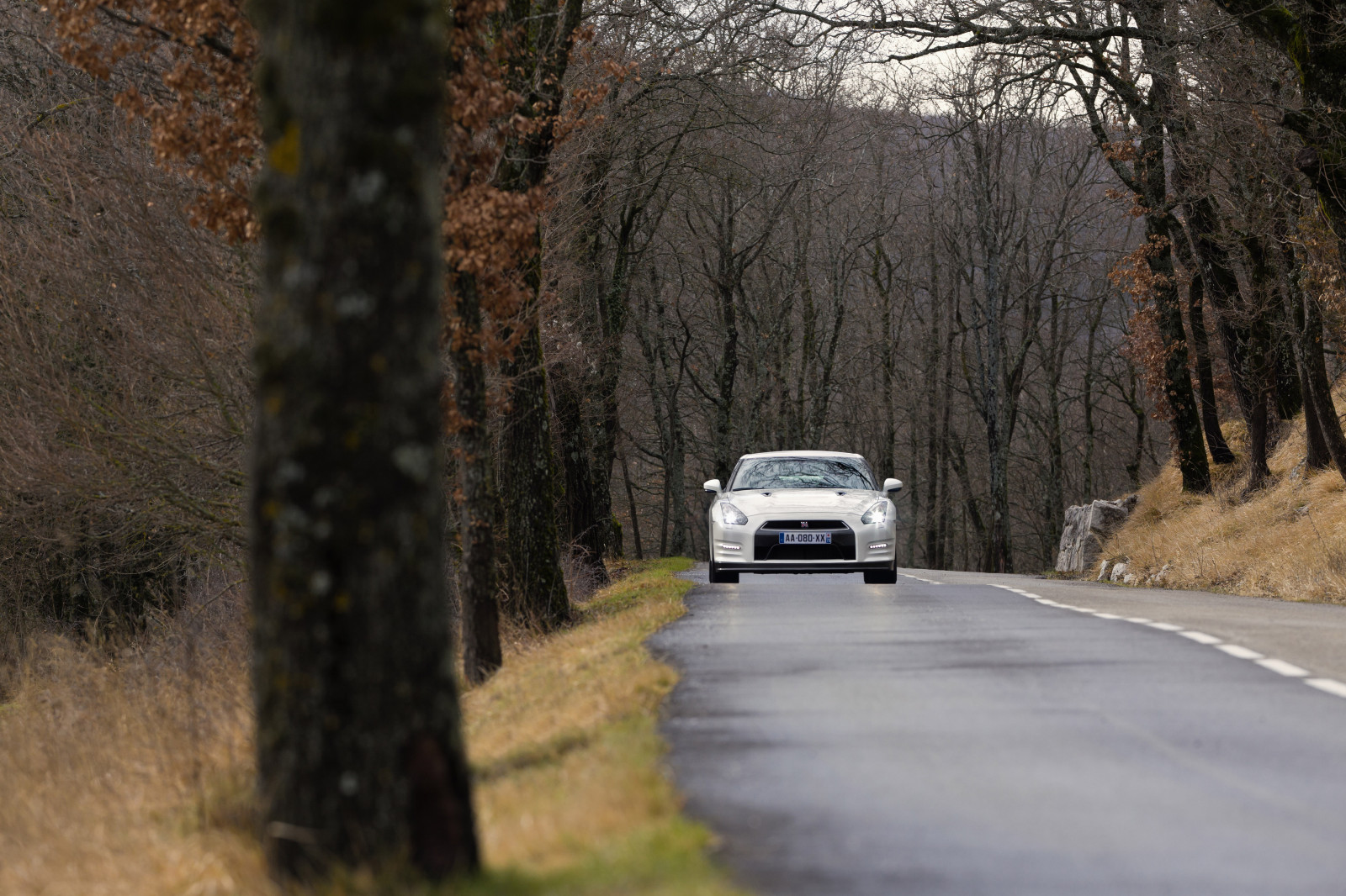 foresta, la neve, inverno, strada, mattina, Nissan, 2013, guida, infrastruttura, netcarshow, netcar, immagini di auto, auto foto, albero, autunno, tempo metereologico, stagione, GT R ​​R35, corsia, fenomeno atmosferico, pianta legnosa, viaggio su strada