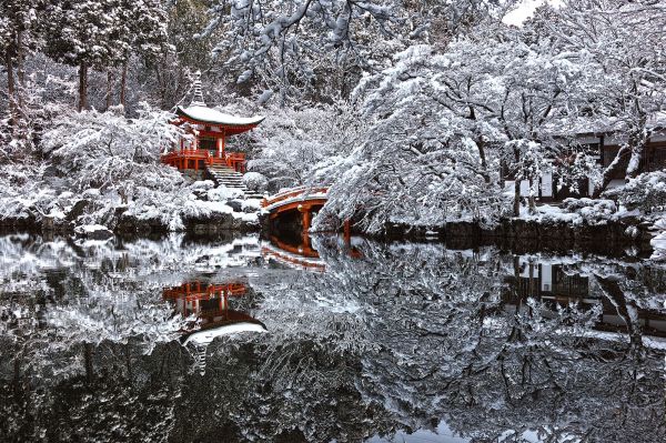 Japan, architecture, Asian architecture, trees, landscape, forest