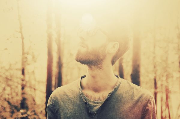 wood,trees,light,Sun,blur,me
