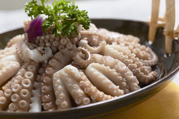 food,closeup