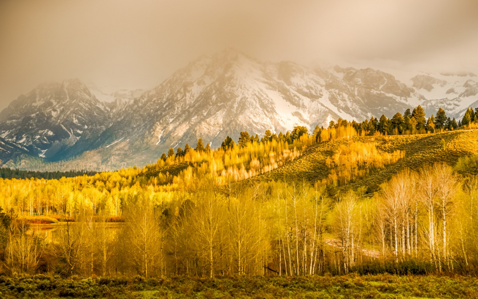 sunlight, trees, landscape, mountains, sunset, hill, nature, reflection, grass, sunrise, evening, morning, mist, valley, wilderness, Wyoming, plateau, tree, autumn, leaf, mountain, dawn, grassland, plant, season, meadow, prairie, rural area, natural environment, atmospheric phenomenon, computer wallpaper, woody plant, mountainous landforms, mountain range, larch