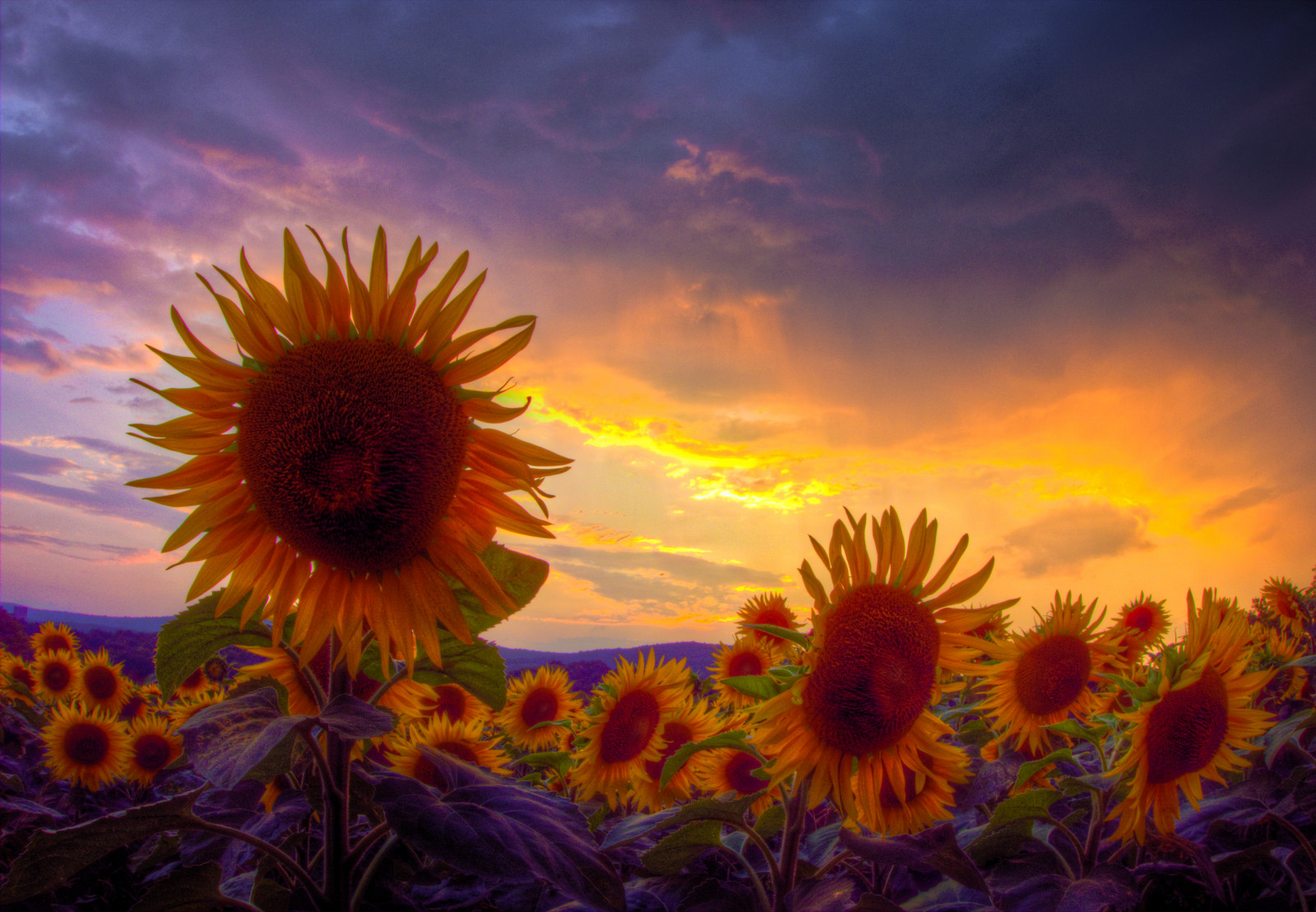 Luce Sunset Wallpaper : light, sunset, Italy, panorama, rain, clouds, landscape ...