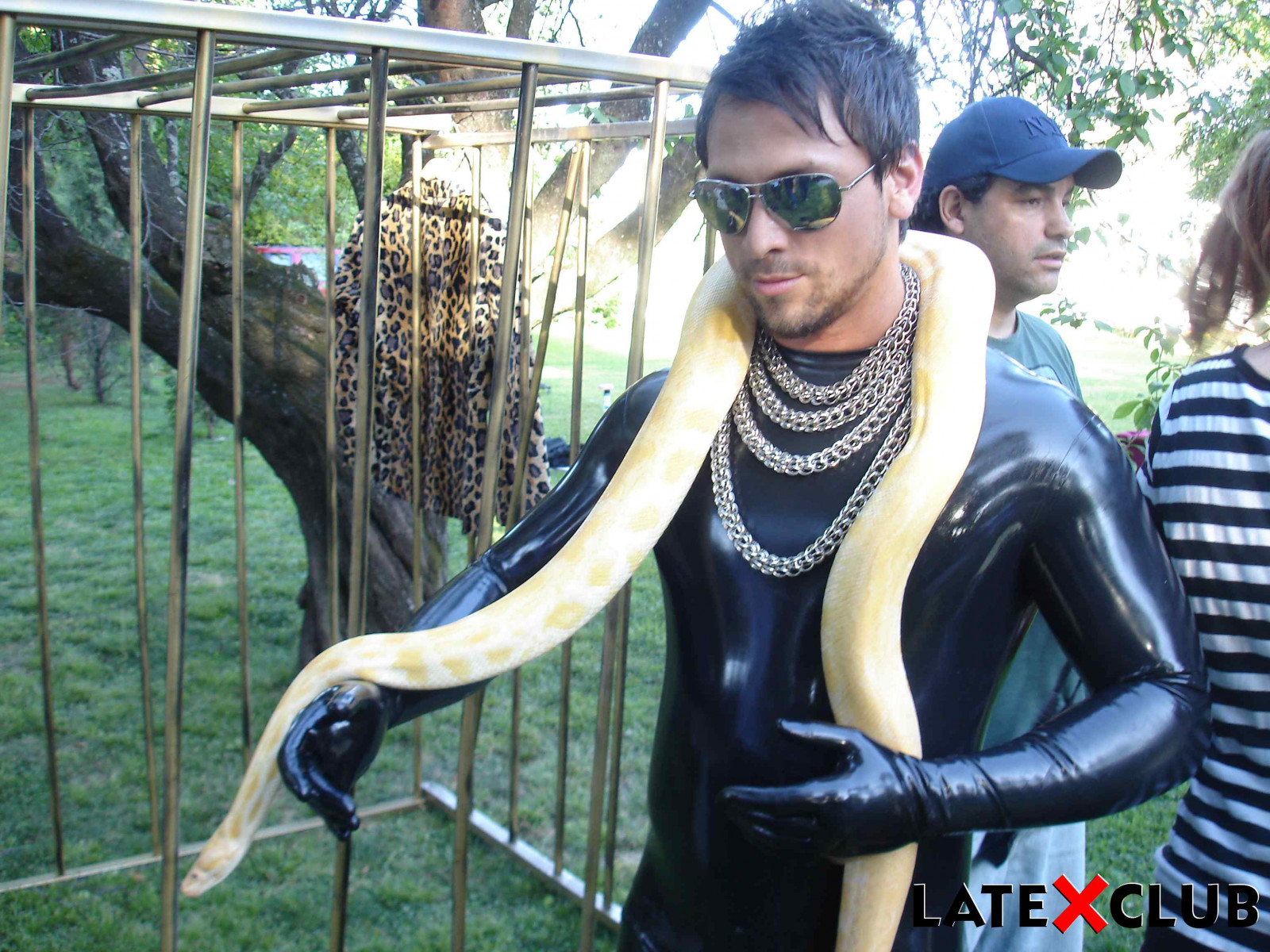 obratlovců, strom, sluneční brýle, rostlina, rekreace, produkt, brýle, zábava, vision care